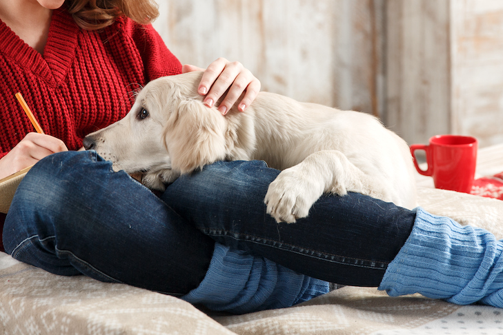 Can Canine House owners Expertise the ‘Pet Blues?’ Examine Says Sure