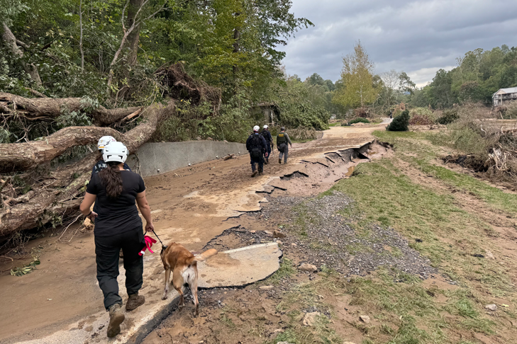 Volunteer Search & Rescue Canine Groups Reply to Hurricane Helene